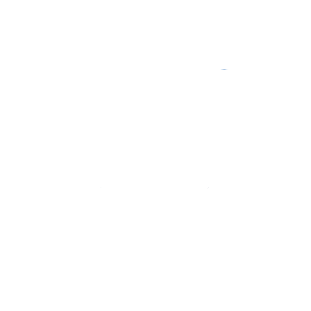 ZankoLink Logo